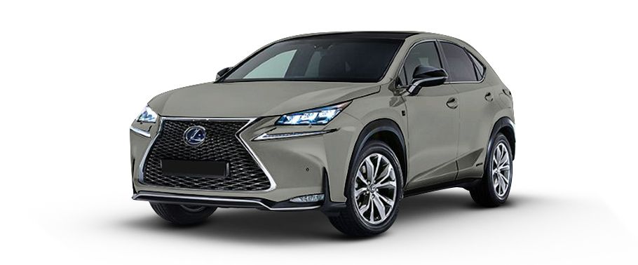 Lexus NX F Sport Grey