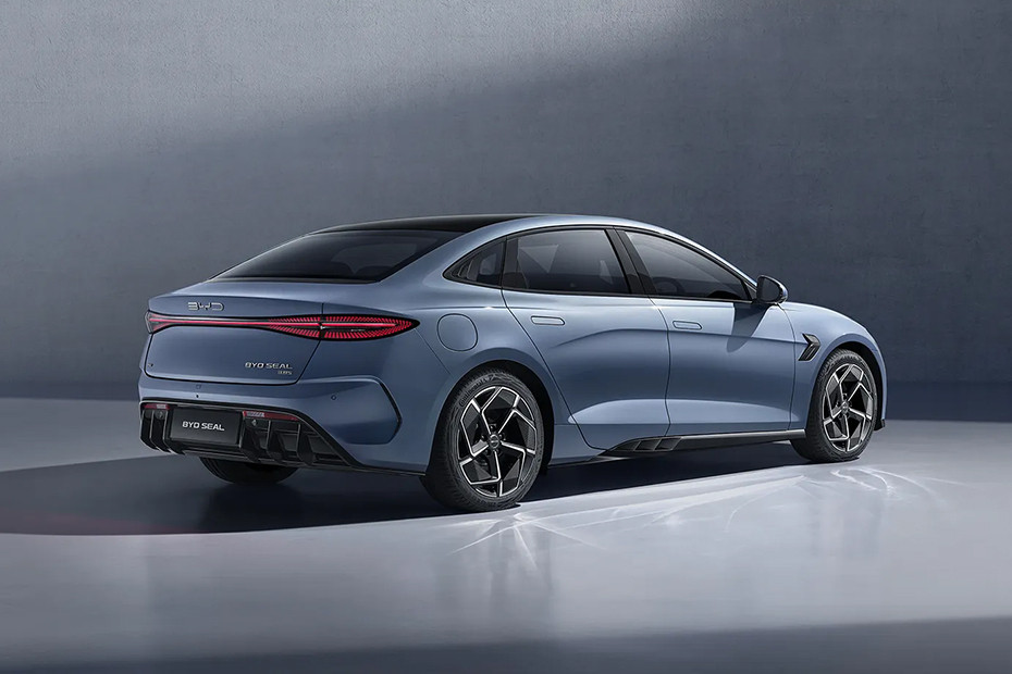 Seal Rear angle view Seal Rear angle view