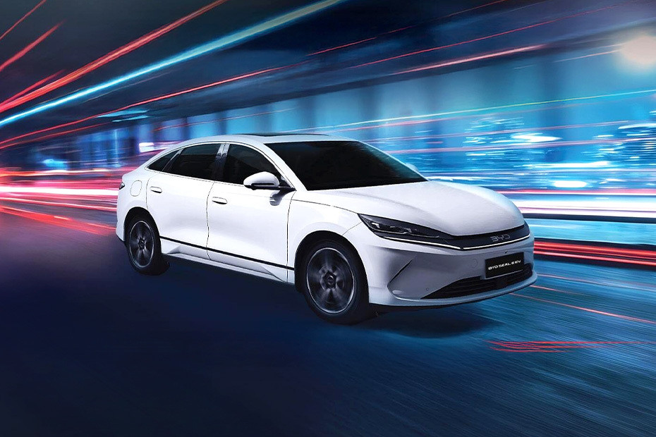 Seal 6 Front angle low view