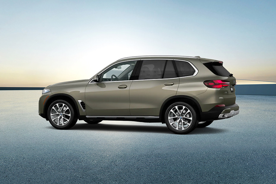 Rear Cross View of BMW X5