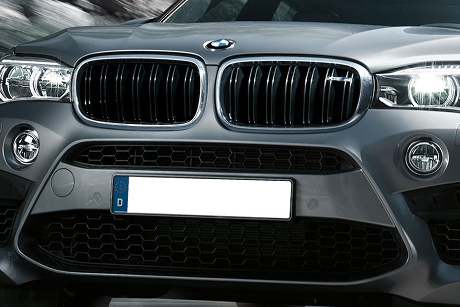 X5 Hybrid Grille View