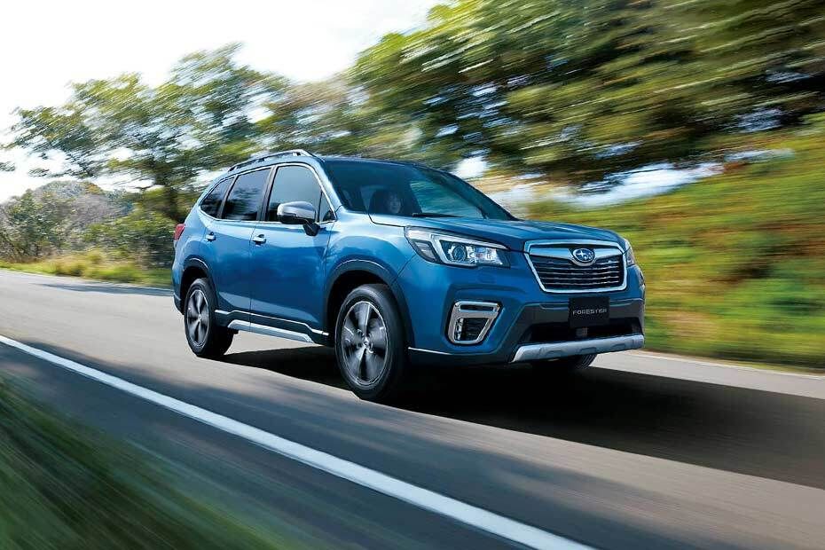 Forester Front angle low view Forester Front angle low view