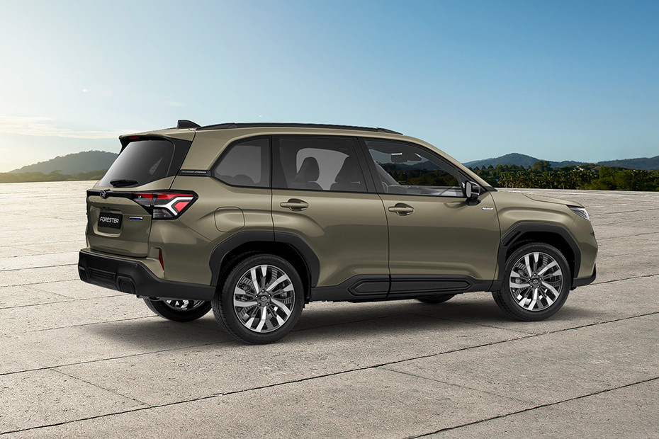 Forester Rear Medium Side View