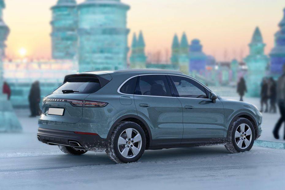 Cayenne Rear Medium Side View Cayenne Rear Medium Side View