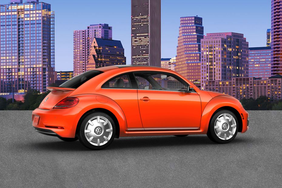 Beetle Rear Medium Side View