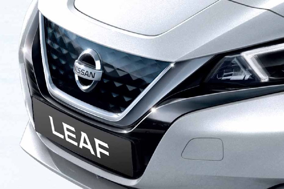 Leaf Grille View Leaf Grille View