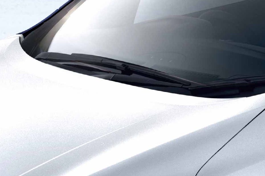 Leaf Wiper View Leaf Wiper View