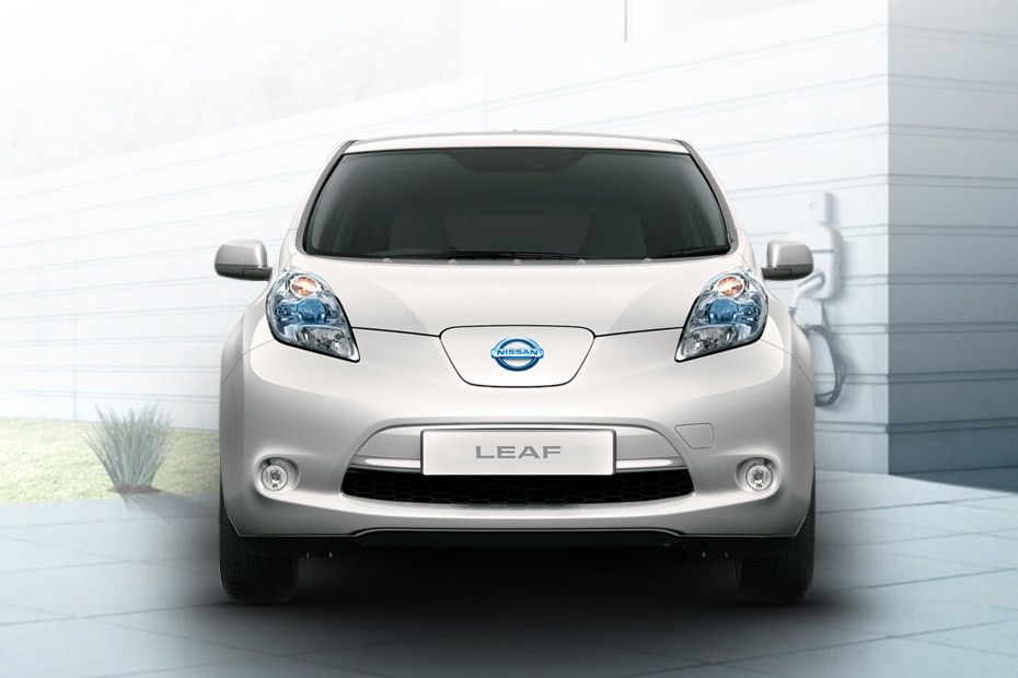 Full Front View of Leaf (2015-2018)