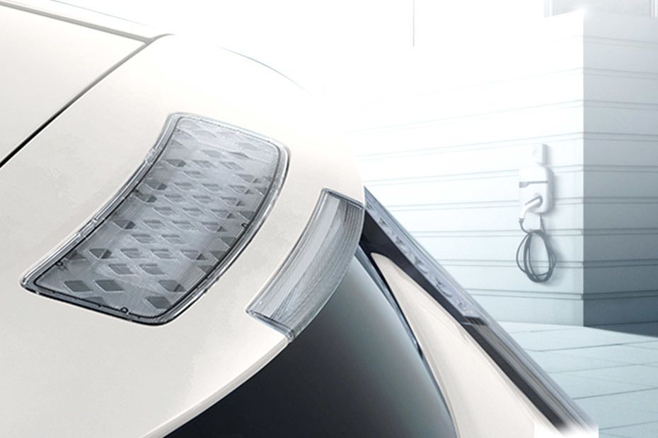 Leaf (2015-2018) Spoiler