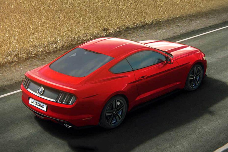 Mustang Rear angle view Mustang Rear angle view