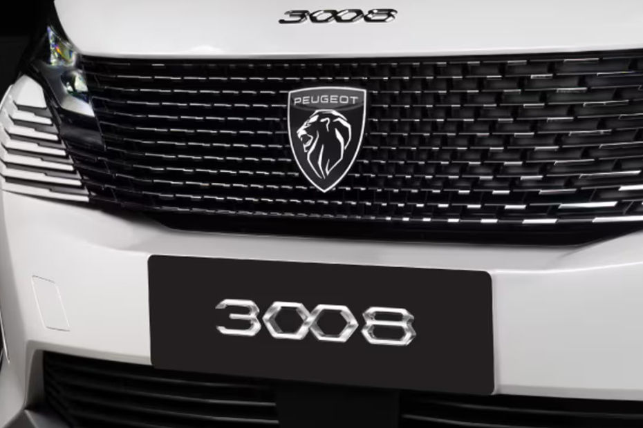 3008 Grille View 3008 Grille View