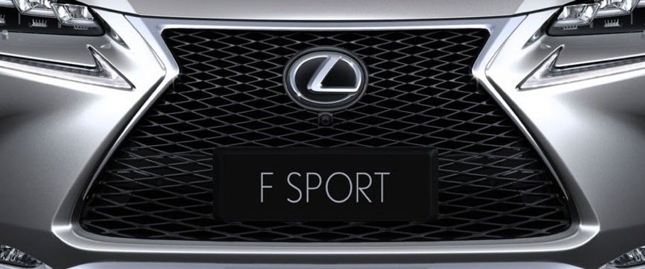 NX F Sport Grille View