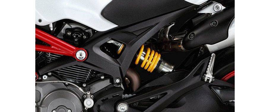Ducati Monster S2R Rear Suspension Ducati Monster S2R Rear Suspension
