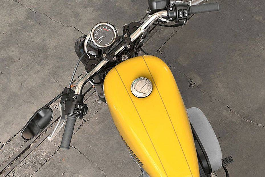 Harley-Davidson Roadster Fuel Tank View Harley-Davidson Roadster Fuel Tank View