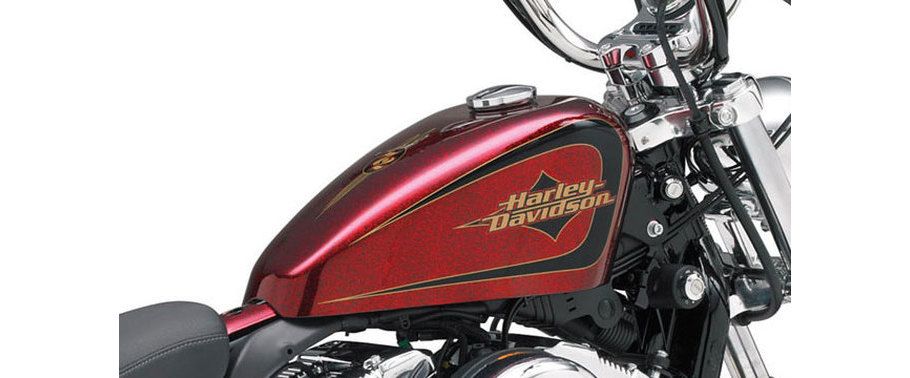Harley-Davidson Seventy-Two Fuel Tank View
