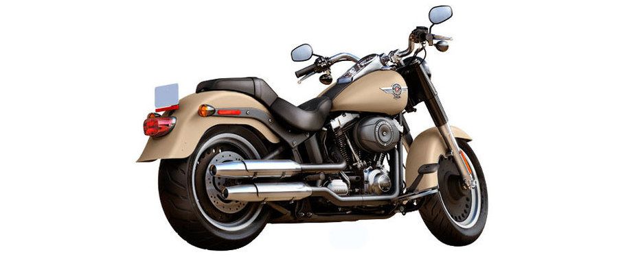 Harley-Davidson Fat Boy Special Back Side View Harley-Davidson Fat Boy Special Back Side View