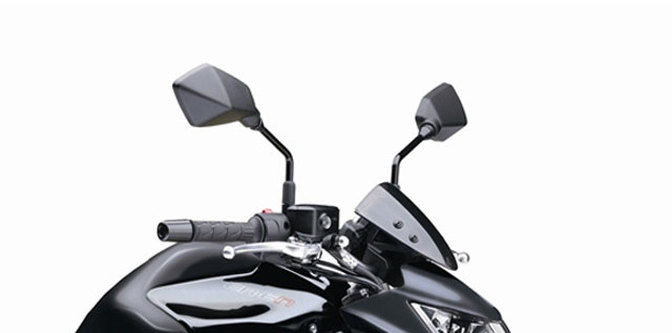 Kawasaki ER-6n Back Side View