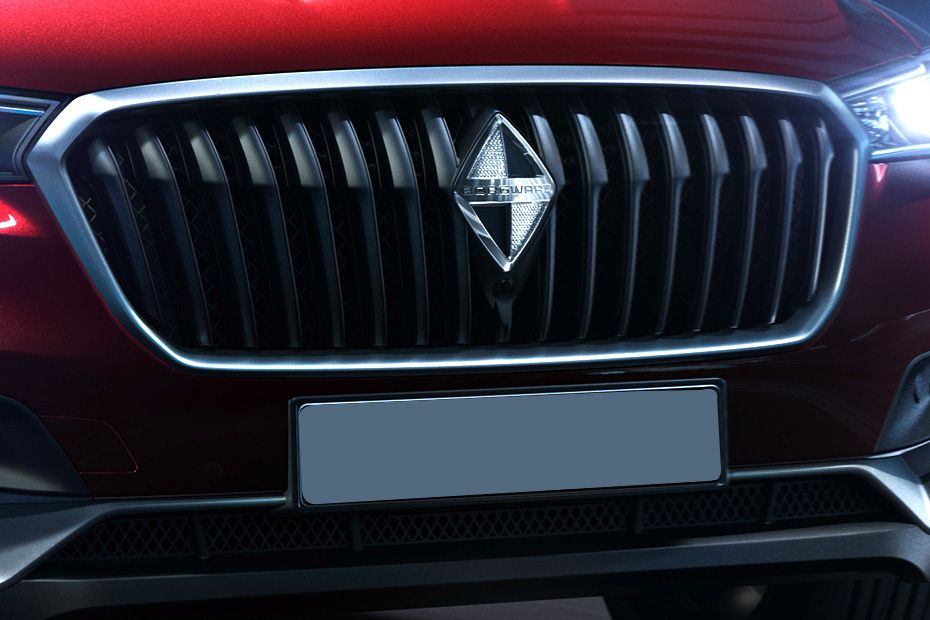 BX5 Grille View BX5 Grille View