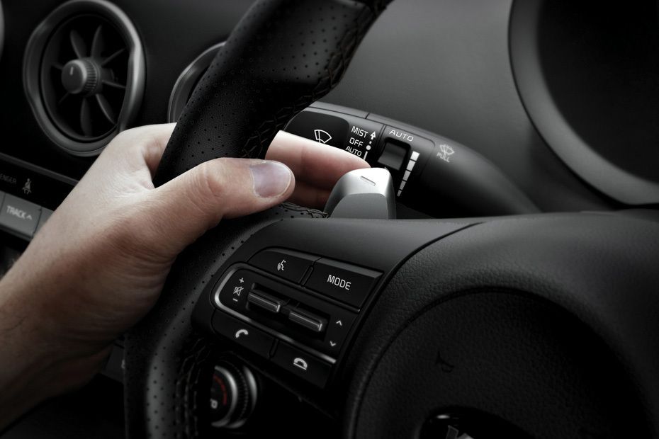 Kia Stinger Multi Function Steering