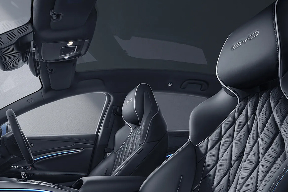 Seal Front Seats Seal Front Seats