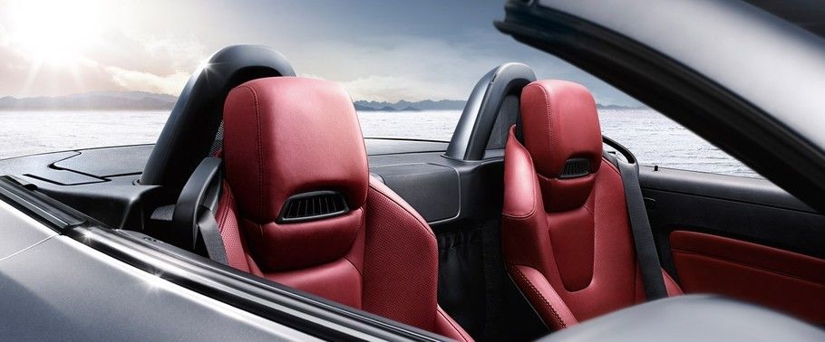 SLK-Class Front Seat Headrest