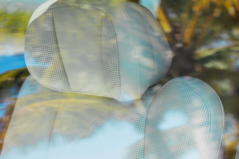 009 Front Seat Headrest