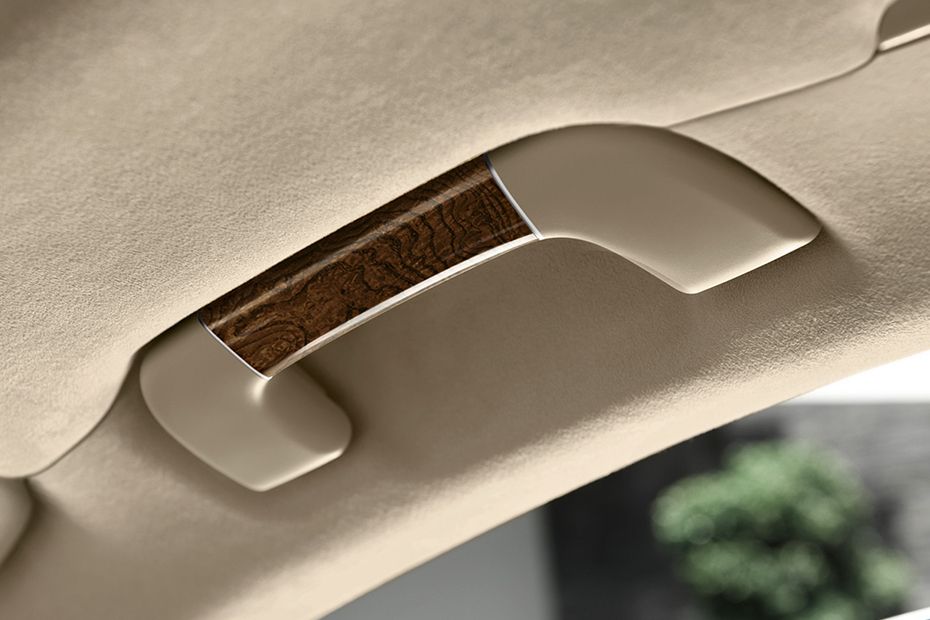Audi A8 Inside Handle