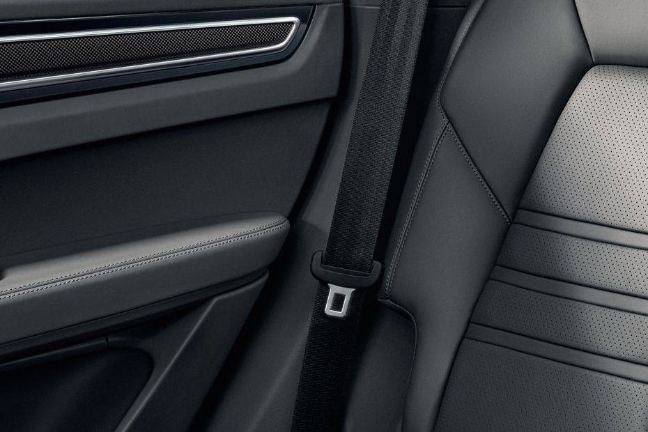 Cayenne Seat Belt Cayenne Seat Belt