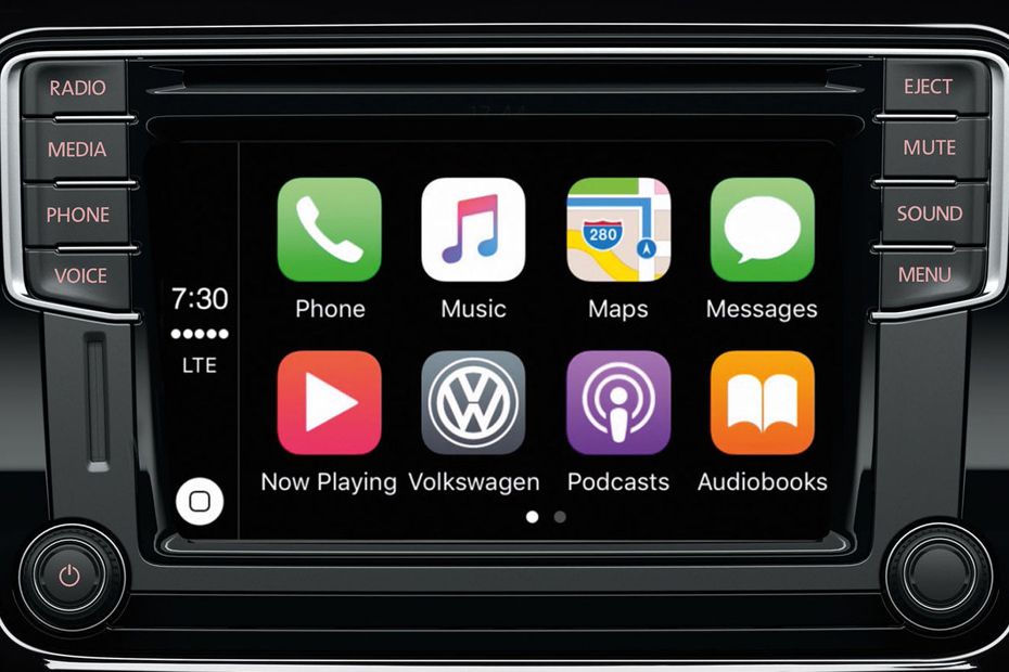 Stereo View of Beetle