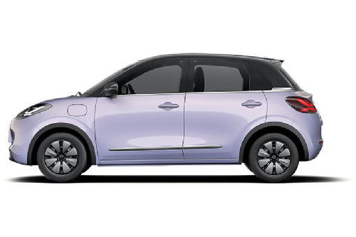 Lavender Purple Black Roof