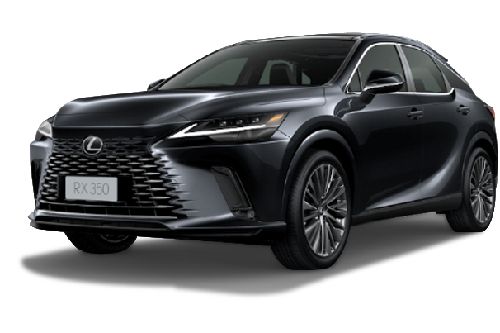 Graphite Black Glass Flake