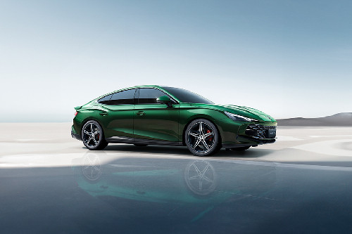 7 Front angle low view