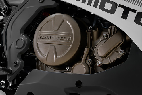 QJ Motor SRK250R Engine View