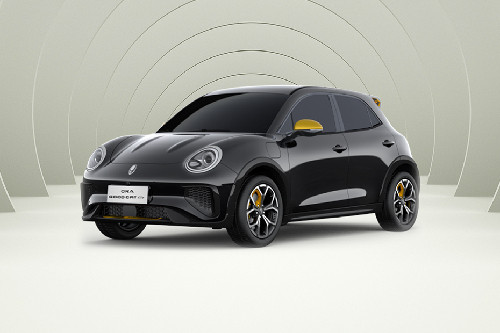 Ora Good Cat Front angle low view