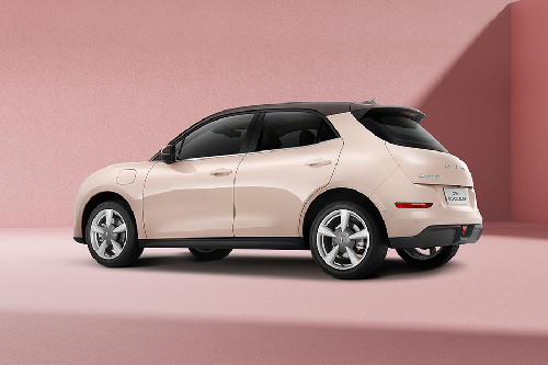 Rear Cross View of GWM Ora Good Cat