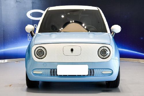 Full Front View of Ora Black Cat