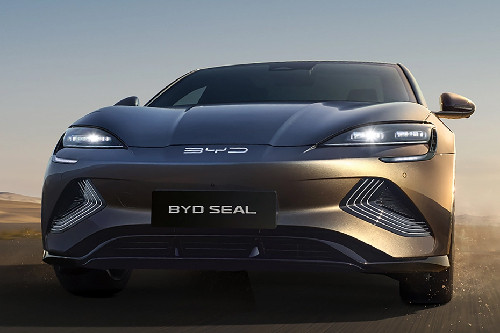 Seal Front deep low Angle View