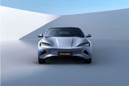 Full Front View of Seal