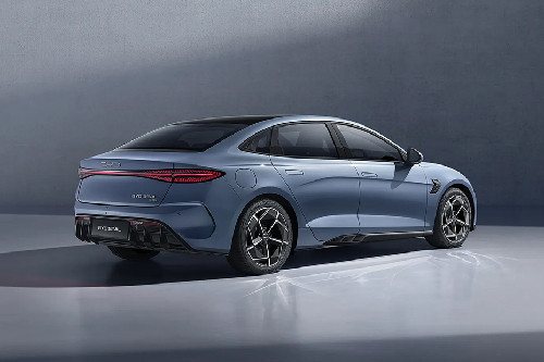 Seal Rear angle view