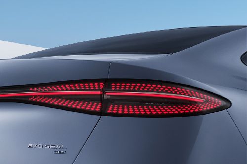 Seal Tail light