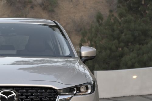 Drivers Side Mirror Front Angle