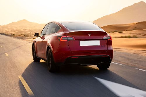 Model Y Rear angle view