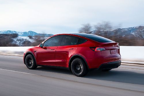 Model Y Rear Low Angle View