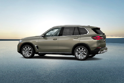 Rear Cross View of BMW X5