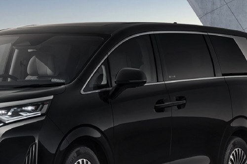 Denza D9 Drivers Side Mirror Front Angle