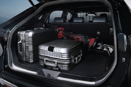 Trunk Open Closer View of Harrier