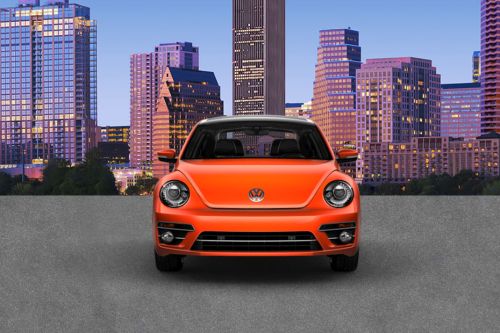 Full Front View of Beetle