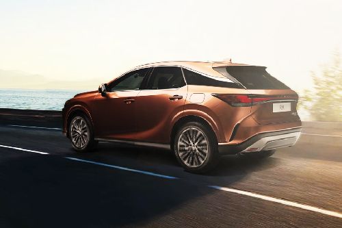 Rear Medium View of Lexus RX