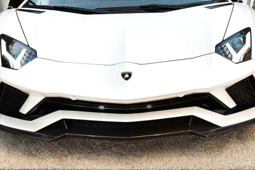 Aventador Grille View