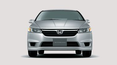 Full Front View of Stream